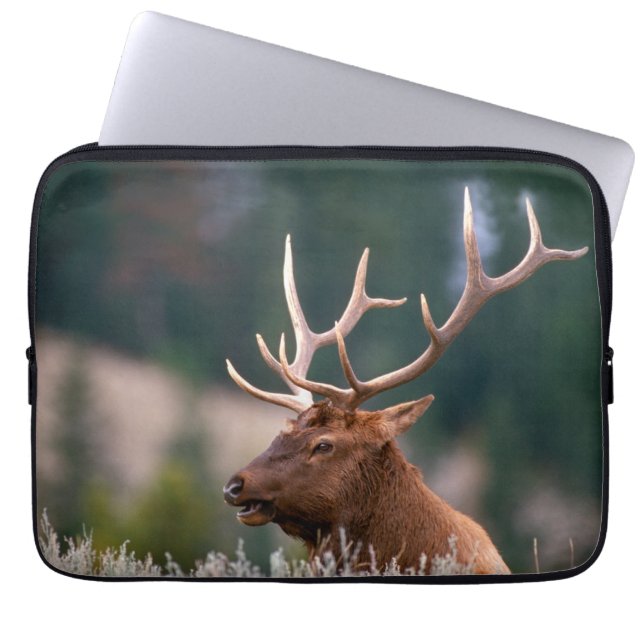 Rocky Mountain Elk Yellowstone National Park Laptop Sleeve (Front)