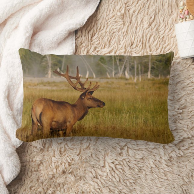 Rocky Mountain Elk | Yellowstone National Park Lumbar Cushion (Blanket)