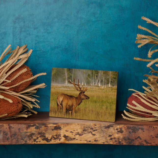 Rocky Mountain Elk | Yellowstone National Park Plaque (Side)