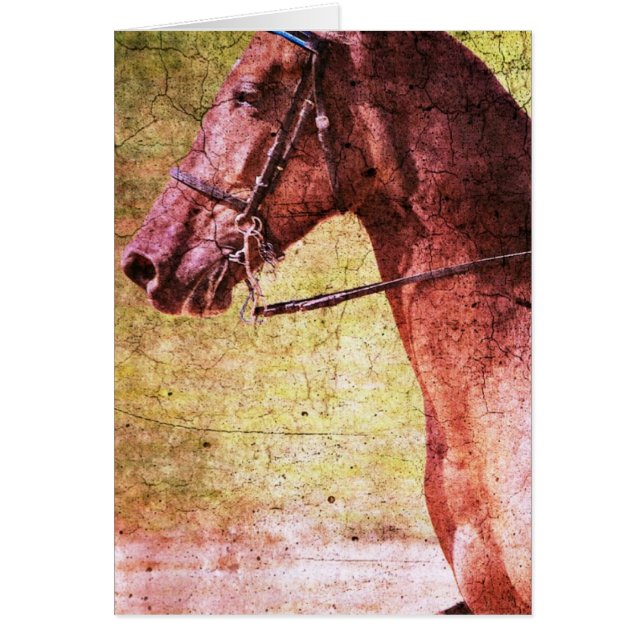 Rocky Mountain Equine (Front)