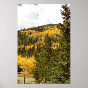 Rocky Mountain Fall Colour Photo Nature Wall Poste Poster