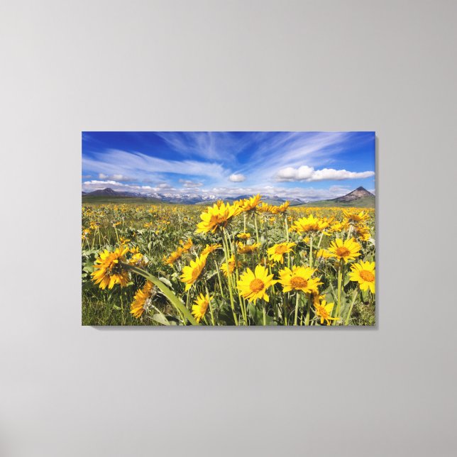 Rocky Mountain Front Range Canvas Print (Front)