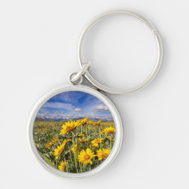 Rocky Mountain Front Range Key Ring (Front)