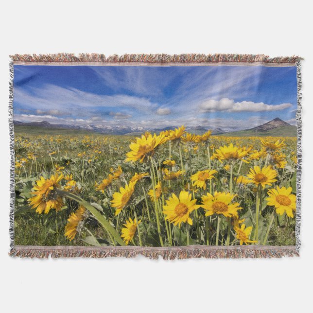 Rocky Mountain Front Range Throw Blanket (Front)