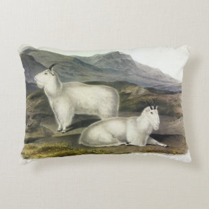 Rocky Mountain Goat (Capra Americana by Audubon Decorative Cushion