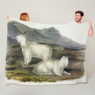 Rocky Mountain Goat (Capra Americana by Audubon Fleece Blanket