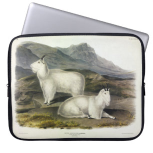 Rocky Mountain Goat (Capra Americana by Audubon Laptop Sleeve