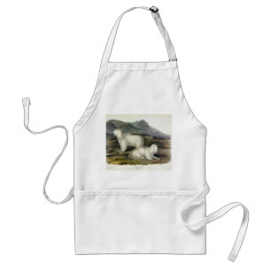 Rocky Mountain Goat (Capra Americana by Audubon Standard Apron