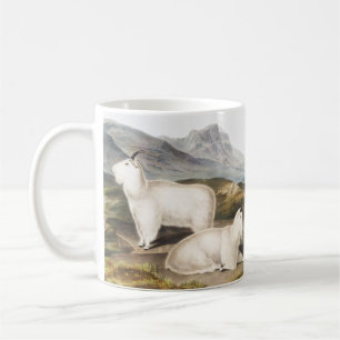 Rocky Mountain Goat (Capra Americana) Illustration Coffee Mug