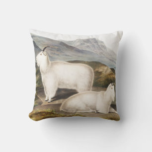 Rocky Mountain Goat (Capra Americana) Illustration Cushion