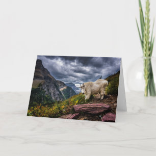 Rocky Mountain Goat Card