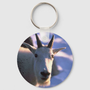 Rocky Mountain Goat Head Key Ring