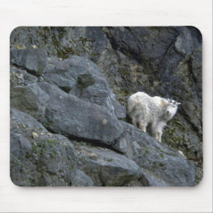 Rocky Mountain Goat In Rocks Mouse Mat
