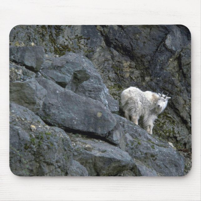 Rocky Mountain Goat In Rocks Mouse Mat (Front)