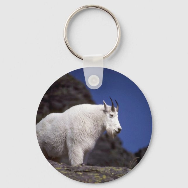 Rocky mountain goat (Large male) Key Ring (Front)