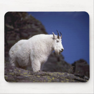 Rocky mountain goat (Large male) Mouse Mat