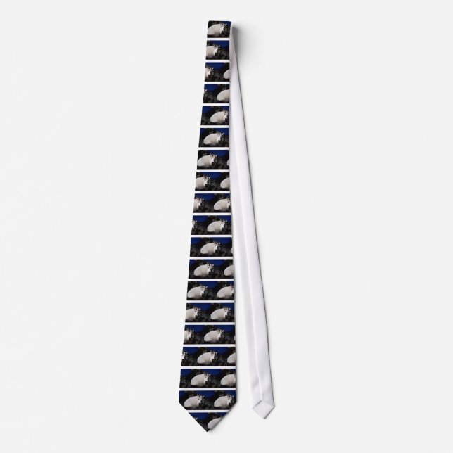 Rocky mountain goat (Large male) Tie (Front)