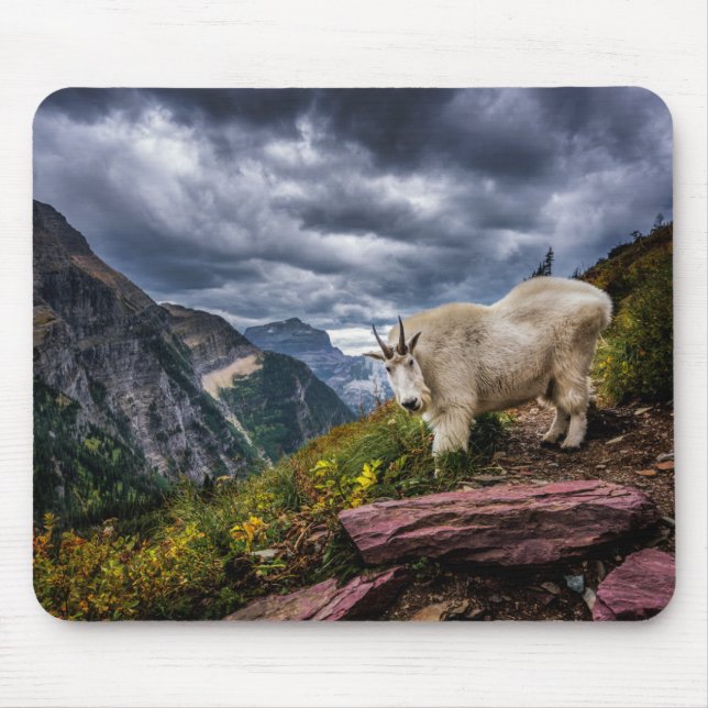 Rocky Mountain Goat Mouse Mat (Front)