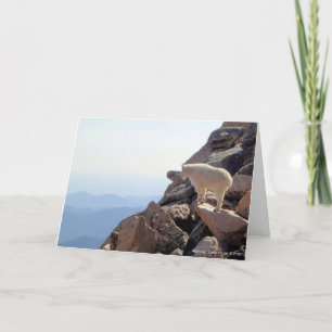 Rocky Mountain High Card