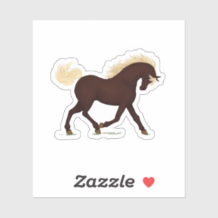 Rocky Mountain Horse Brown Pony Equestrian
