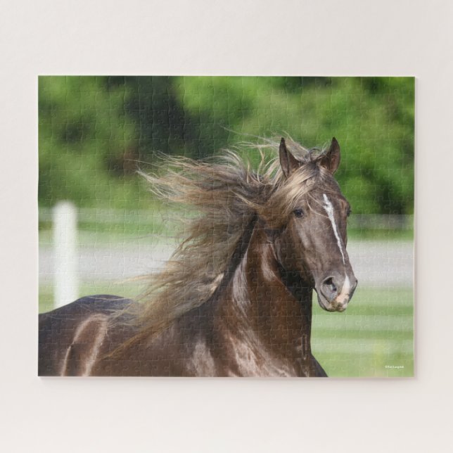 Rocky Mountain Horse Stallion Headshot Jigsaw Puzzle (Horizontal)