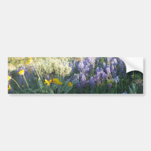 Rocky Mountain Lupine Bumper Sticker