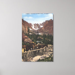 Rocky Mountain National Park, CO Canvas Print