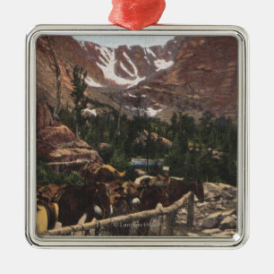 Rocky Mountain National Park, CO Metal Tree Decoration