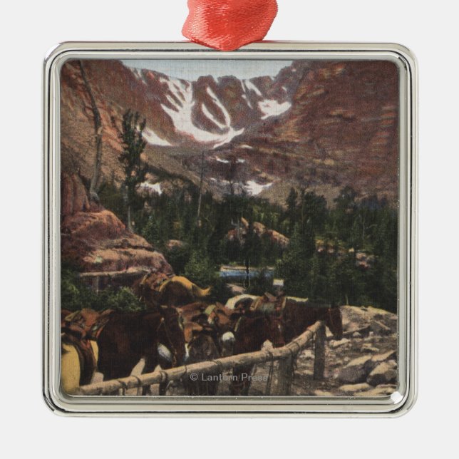 Rocky Mountain National Park, CO Metal Tree Decoration (Front)