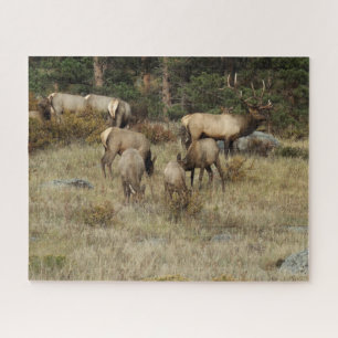 Rocky Mountain National Park Colorado Elk Puzzle