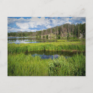 Rocky Mountain National Park, Colorado Postcard