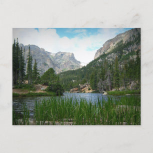 Rocky Mountain National Park, Colorado Postcard