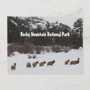 Rocky Mountain National Park Postcard