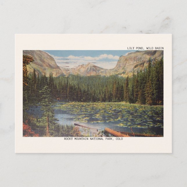 Rocky Mountain National Park Wild Basin Postcard (Front)