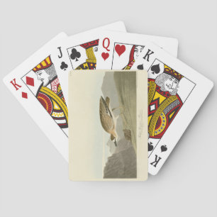 Rocky Mountain Plover - Audubon's Birds of America Playing Cards