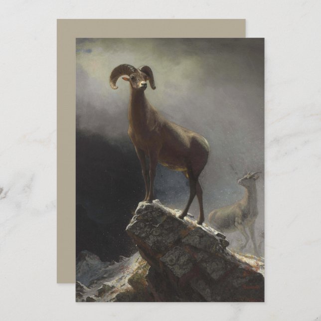 Rocky Mountain Sheep by Albert Bierstadt Holiday Card (Front/Back)