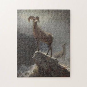 Rocky Mountain Sheep or Big Horn, Ovis, Montana, c Jigsaw Puzzle