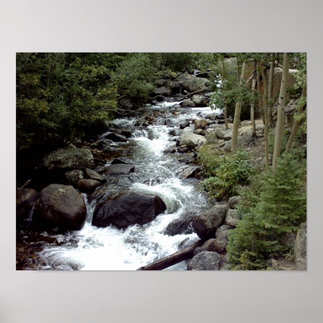 Rocky Mountain Stream Posters (Front)