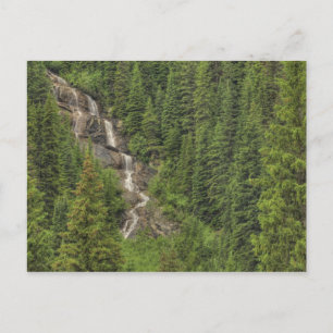 Rocky Mountain Waterfall Postcard