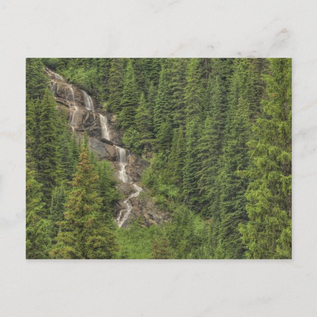 Rocky Mountain Waterfall Postcard (Front)
