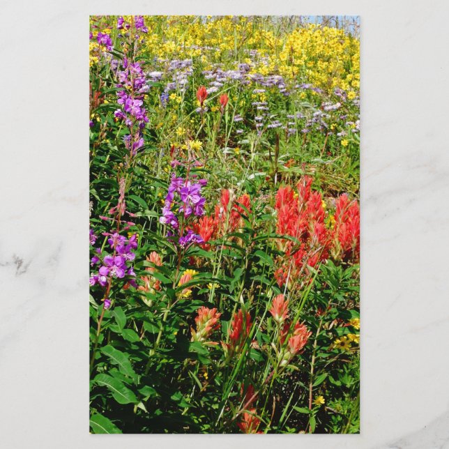 Rocky Mountain Wildflowers (Front)