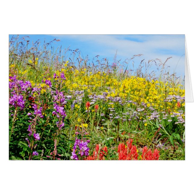 Rocky Mountain Wildflowers (Front Horizontal)