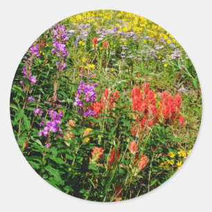 Rocky Mountain Wildflowers Classic Round Sticker