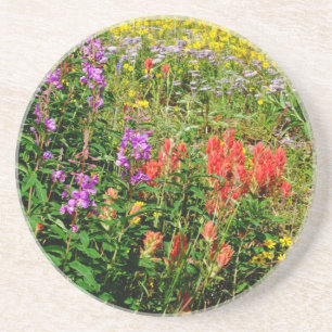 Rocky Mountain Wildflowers Coaster