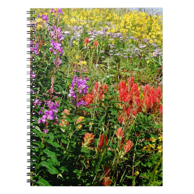 Rocky Mountain Wildflowers Notebook (Front)