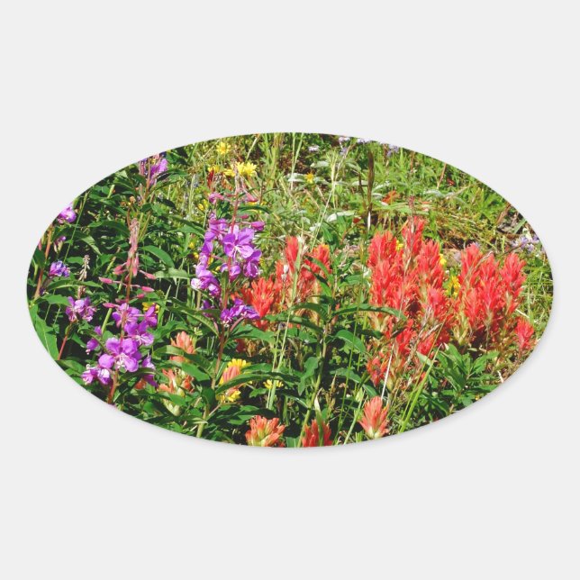 Rocky Mountain Wildflowers Oval Sticker (Front)