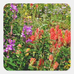 Rocky Mountain Wildflowers Square Sticker