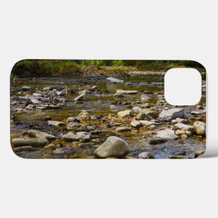 Rocky Path iPhone 13 Case