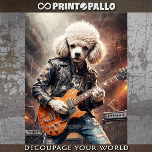 Rocky Poodle play guitar at concert - Tissue Paper