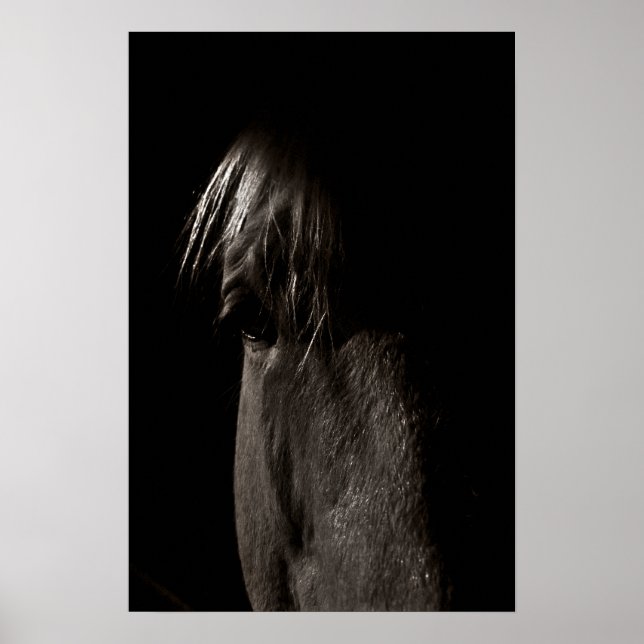 Rocky Poster (Front)